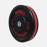 Colour edge bumper plates_25kg_angle